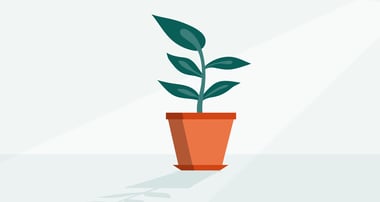 Kundupplevelsestrategi