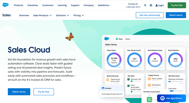 Salesforce screen shot website